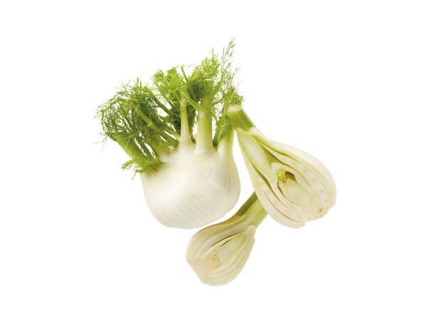 Fennel