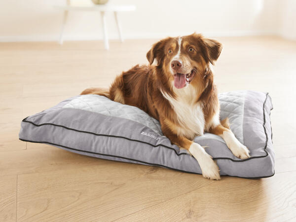 ZOOFARI(R) Hundeseng