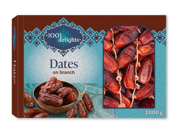 1001 DELIGHTS Dadler