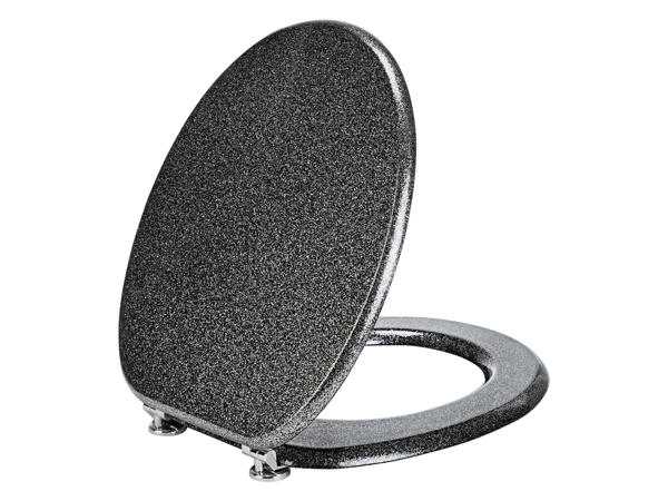 Toilet Seat