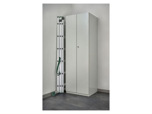 Multi-Purpose Ladder