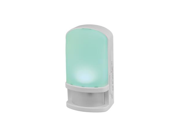 LED Night Light