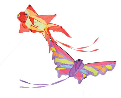 3D Kites