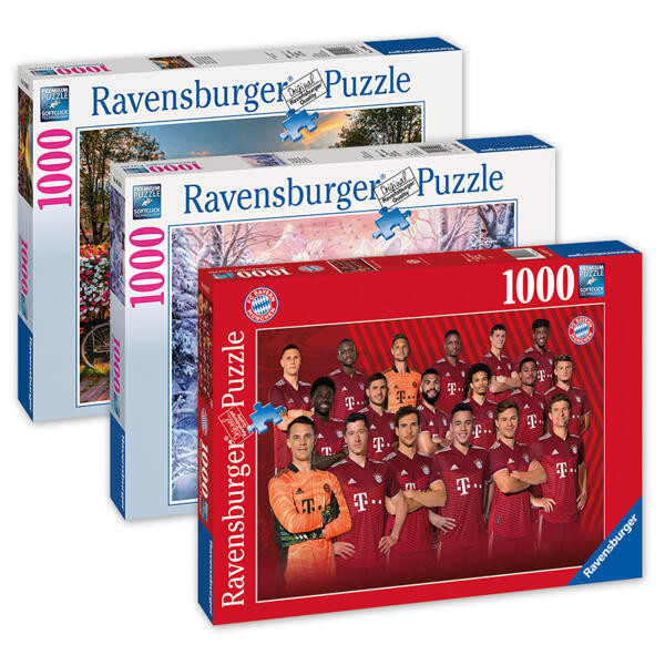 1000 Teile Puzzle
