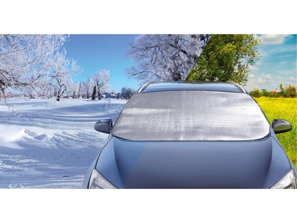 Windscreen protector