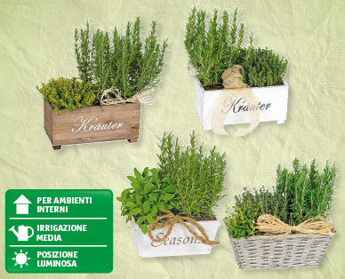 Cassette e cestini con erbe aromatiche