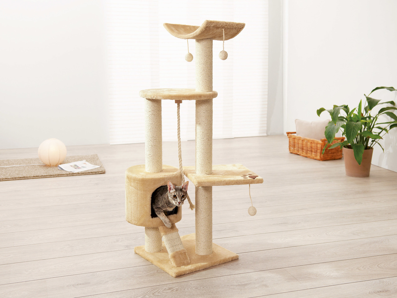 Zoofari Cat Scratching Post1