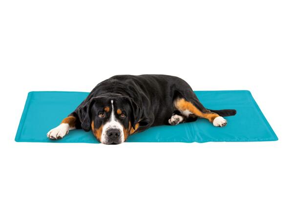 Rectangular Dog Cooling Mat