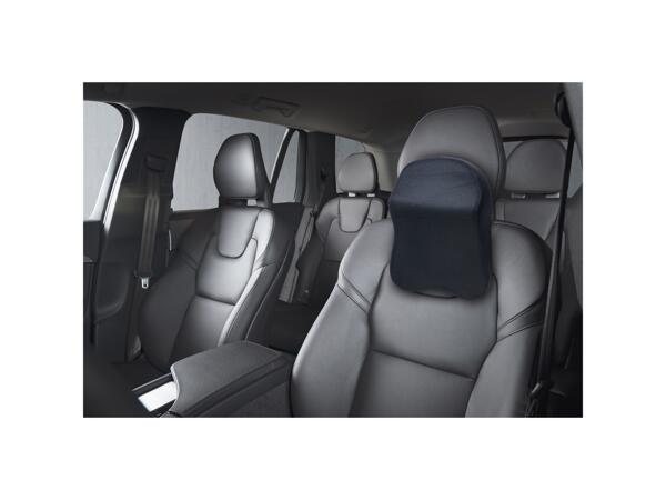Seat Pad/Cushion Assortment