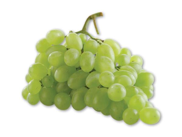 Grønne kernefri vindruer