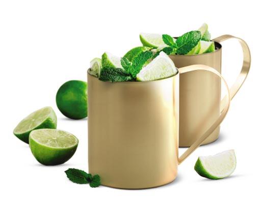 Crofton
2-Pack Moscow Mule Mugs