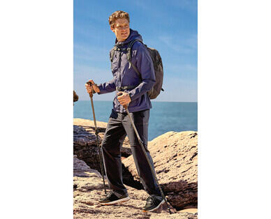 Walking Poles