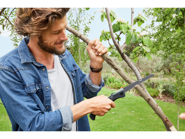 Folding Saw