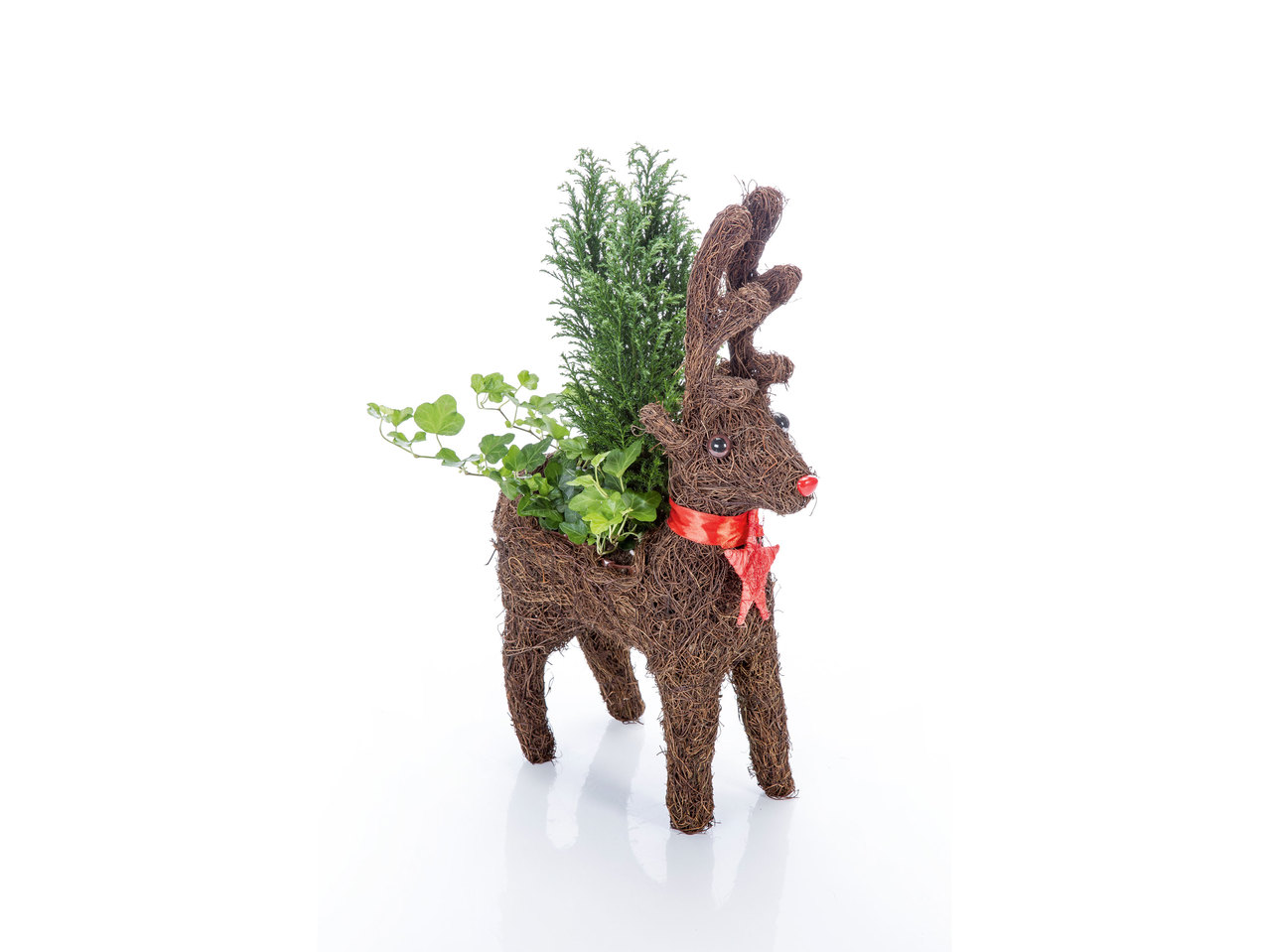 Kerststuk rendier