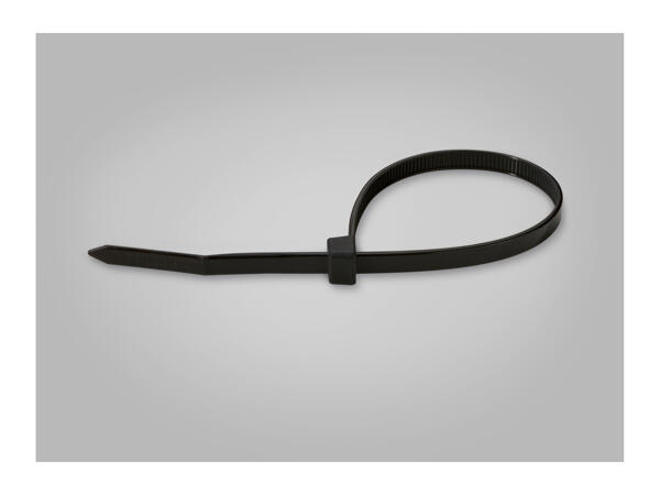 Parkside Cable Tie Set - 1000 pieces