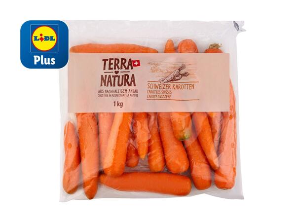 Carottes