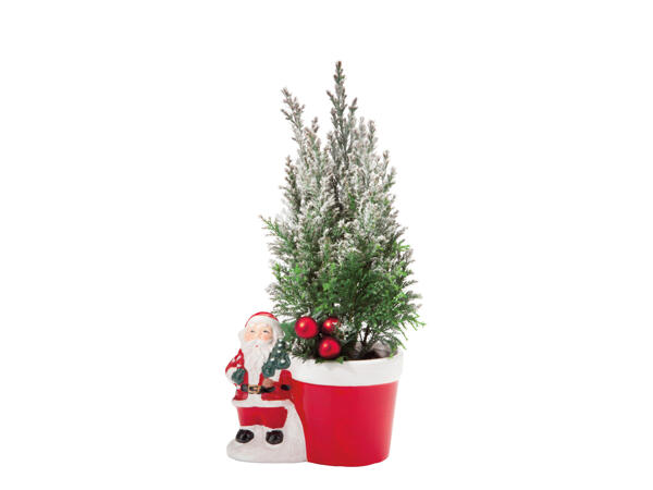 Santa with Conifer