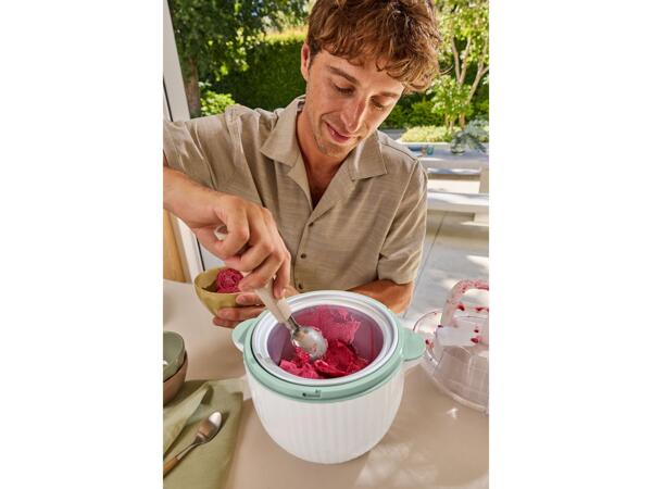 Ice cream maker