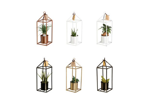 Plante Greenhouse "Easy Care"