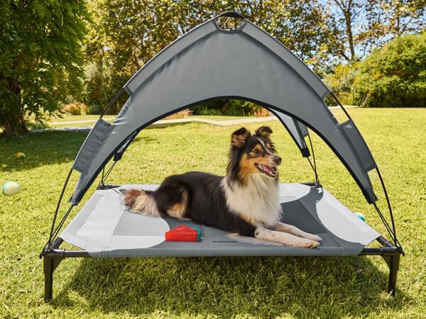 Raised Dog Bed