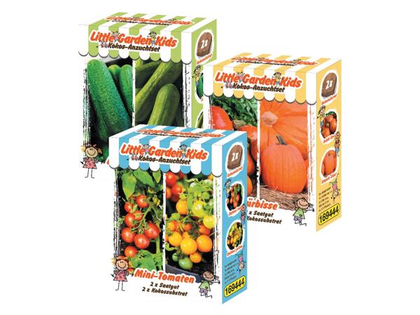 Growing kits for children
