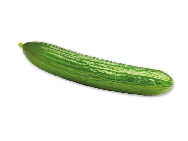 Agurk eller squash