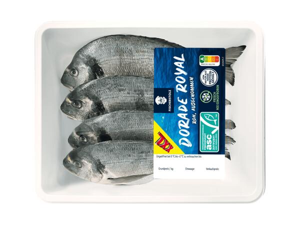 Frische Dorade 4er