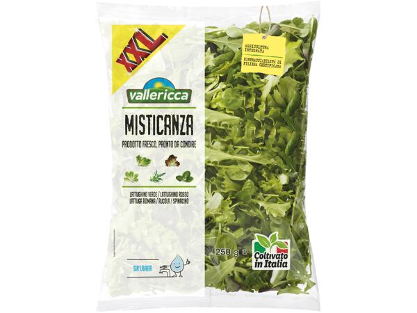 Mixed Salad XXL