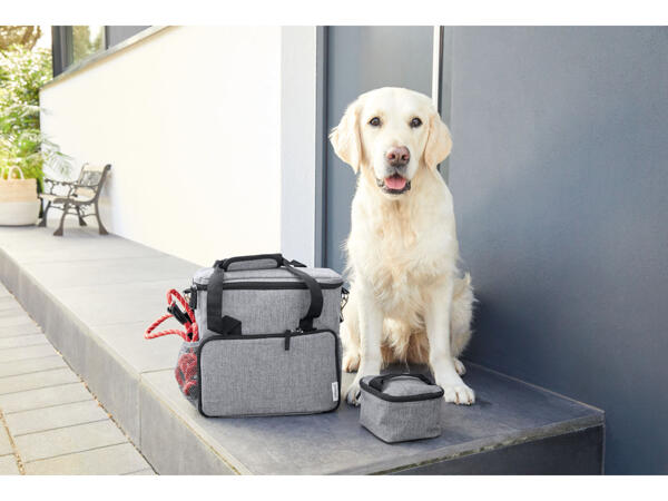 Pet Travel Bag