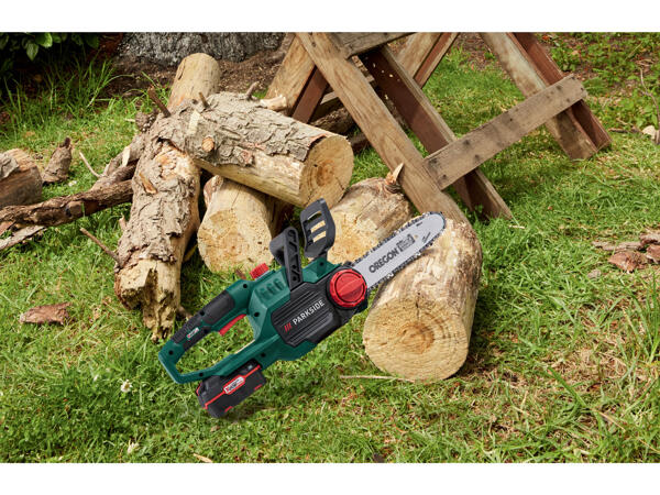 Cordless Chain Saw