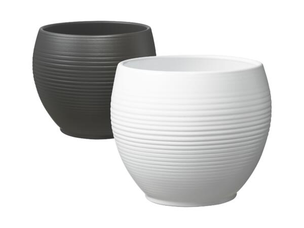 Purista Modern