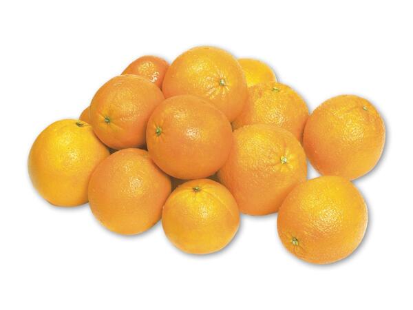 Appelsiner