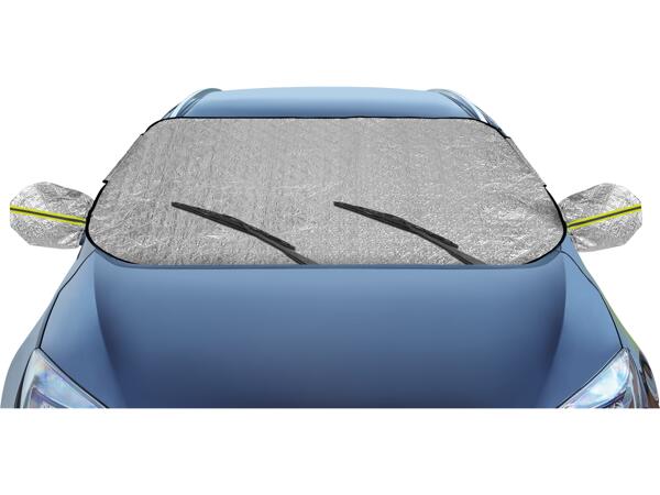 Year Round Windscreen Protector