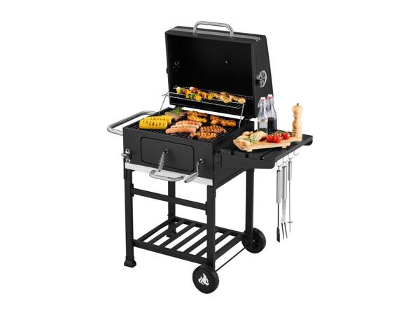 Grillmeister Charcoal Barbecue