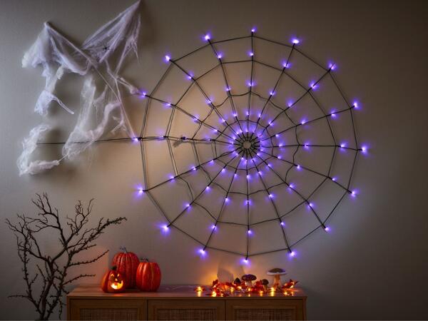 LED Spider Web