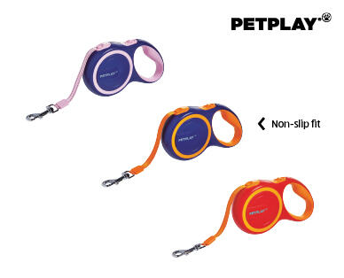 Assorted Dog Leads and Collars