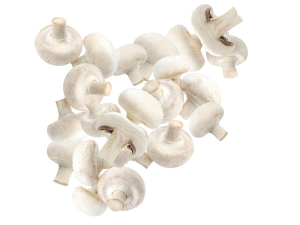 Champignons weiß