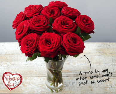 A Dozen Premium Naomi Roses†