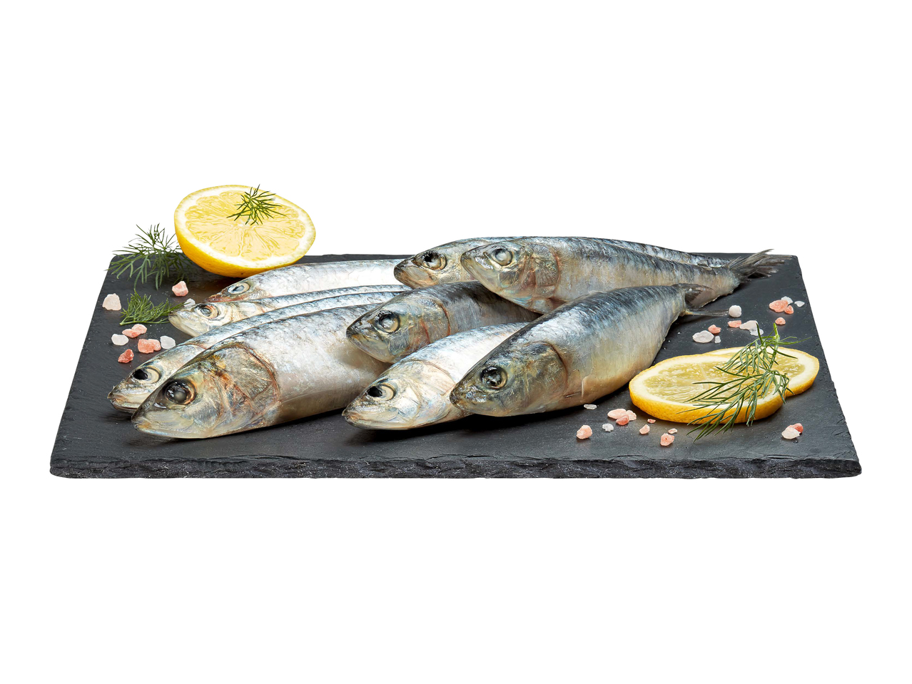 Sardines