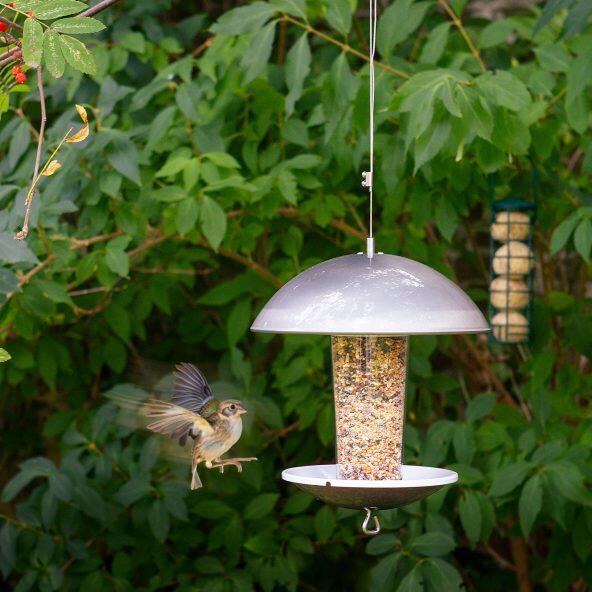 BELAVI(R) 				Vogelfutterhäuschen