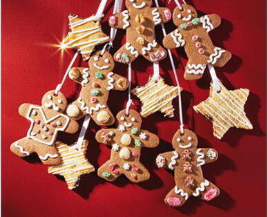 Gingerbread Cookie Mix 505g