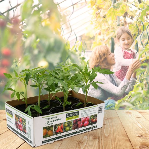 Tomatmix