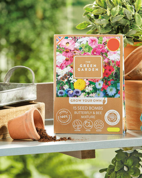 Butterfly And Bee Seed Bombs
