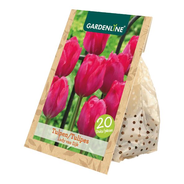 GARDENLINE(R) Tulpenzwiebeln, 20 St.