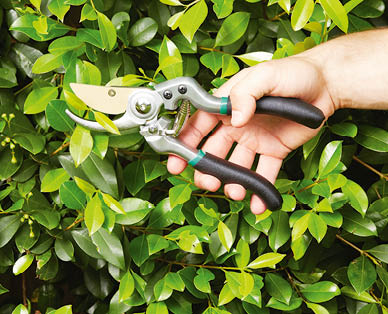 Premium Pruning Shears