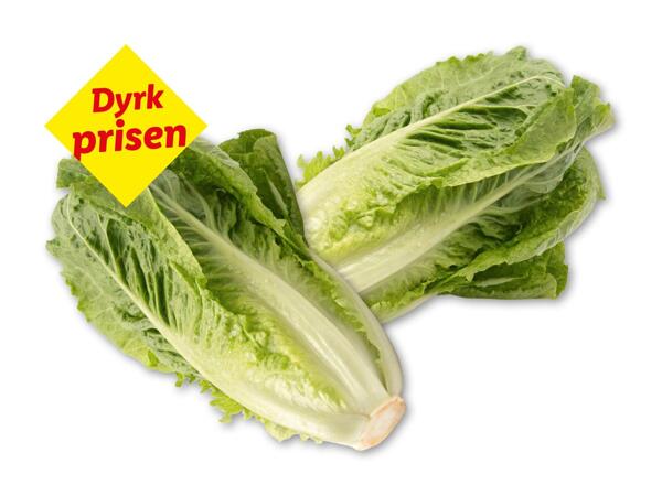 Miniromainesalat