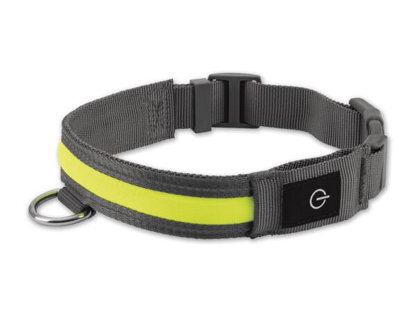 LED-Hundehalsband/Leuchtband
