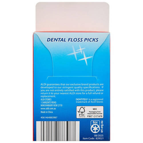 Disposable Dental Floss Picks 100 Pack