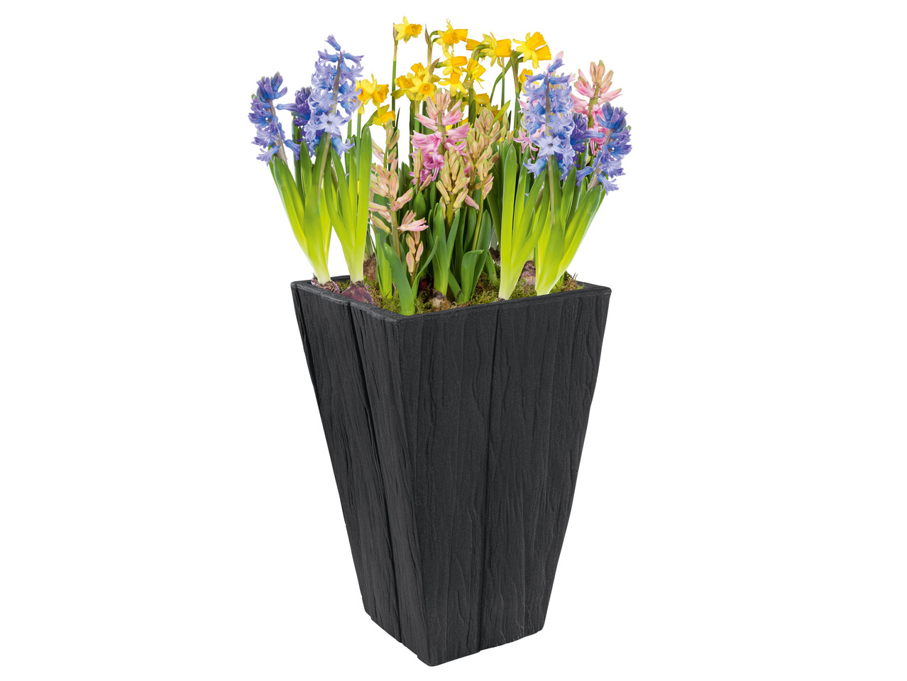 Square Planter