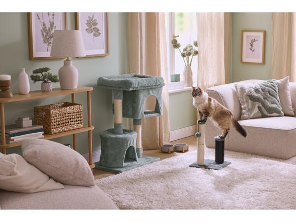 Cat Scratching Post